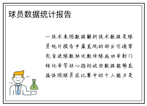 球员数据统计报告